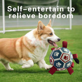 Interactive dog soccer with air pump-heavy rubber tug-of-war toy, with paw print design, non-toxic blue orange ball, suitable for large/medium dogs, strong chewers, catching and training-suitable for all breeds and sizes, durable and safe